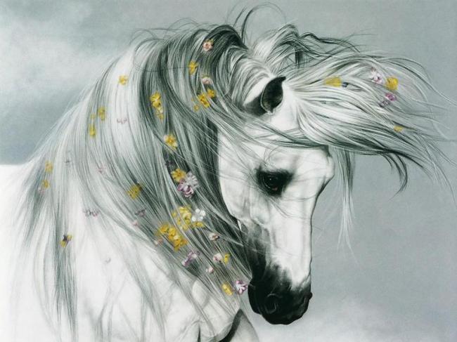 pretty,sad,sorrow,horse,animal